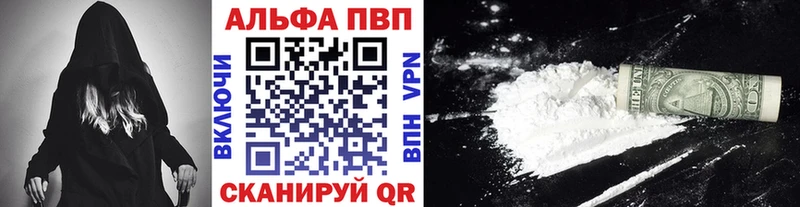 A PVP СК КРИС  Абакан 