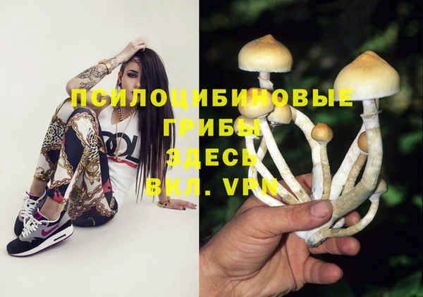 Альфа ПВП Алексеевка