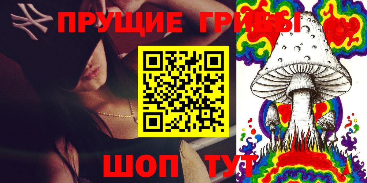 Псилоцибиновые грибы Cubensis  Галлюциногенные грибы Psilocybine cubensis  Абакан  Вход с VPN 