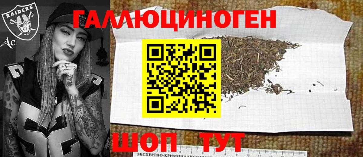 Псилоцибиновые грибы Psilocybe Абакан